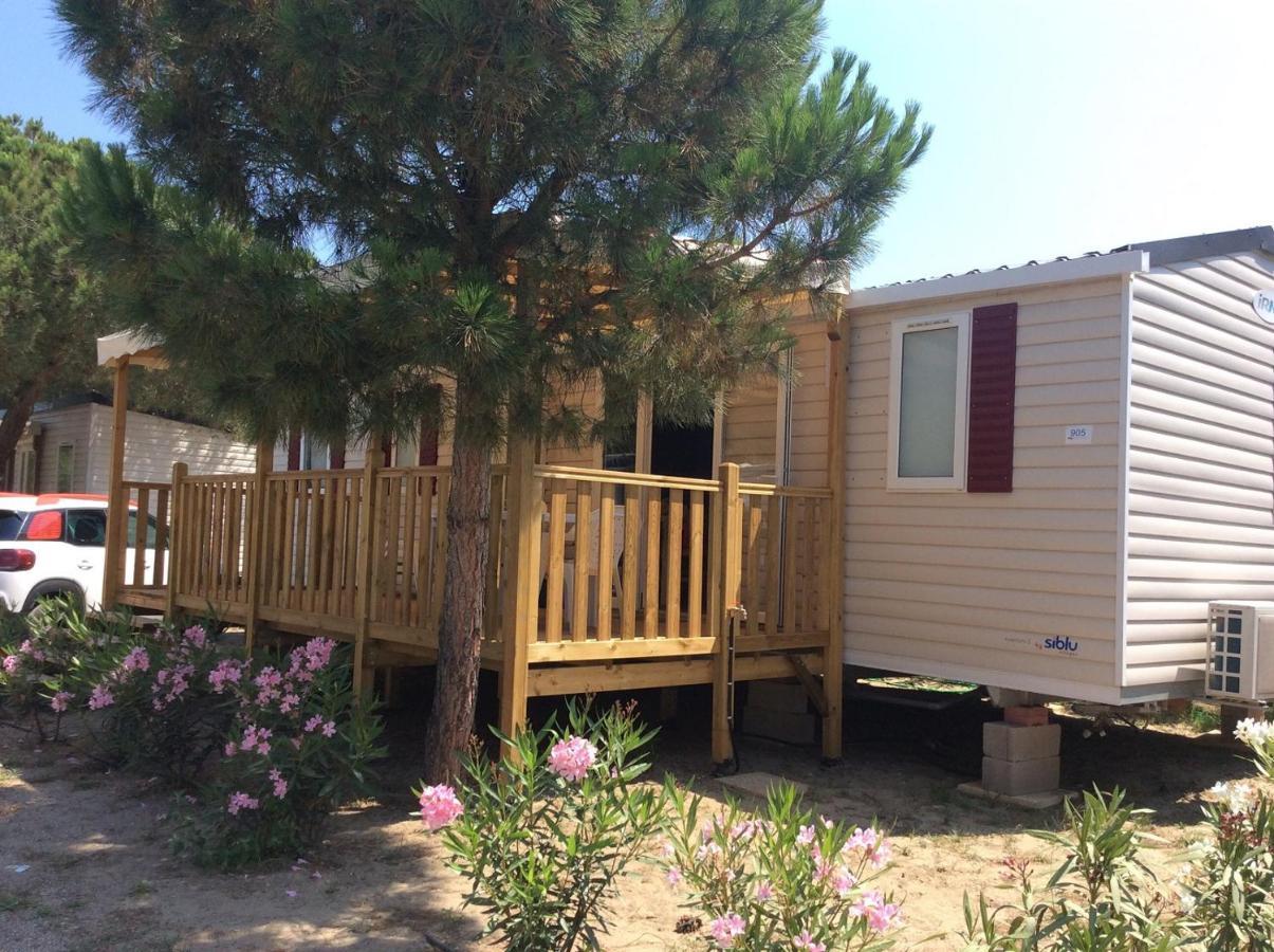 Mhvacances Louent Plusieurs Mobilhomes Dans Camping 4 Etoiles A 200M De La Plage Et Cure Thermale Canet-en-Roussillon Ngoại thất bức ảnh